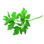 PEREJIL