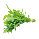 RUCULA
