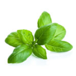 ALBAHACA 500 G