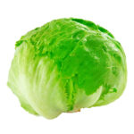 LECHUGA ESCAROLA