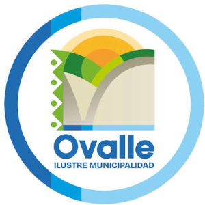 logo30